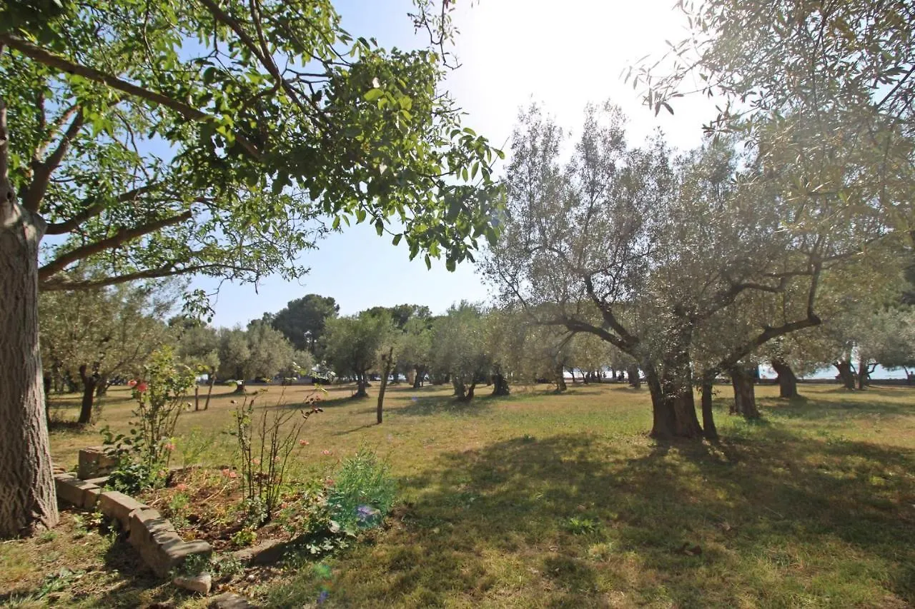 Apartment Apartman Ivana Fazana Croatia